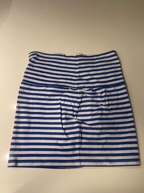 Striped Blue and White Mini Skirt